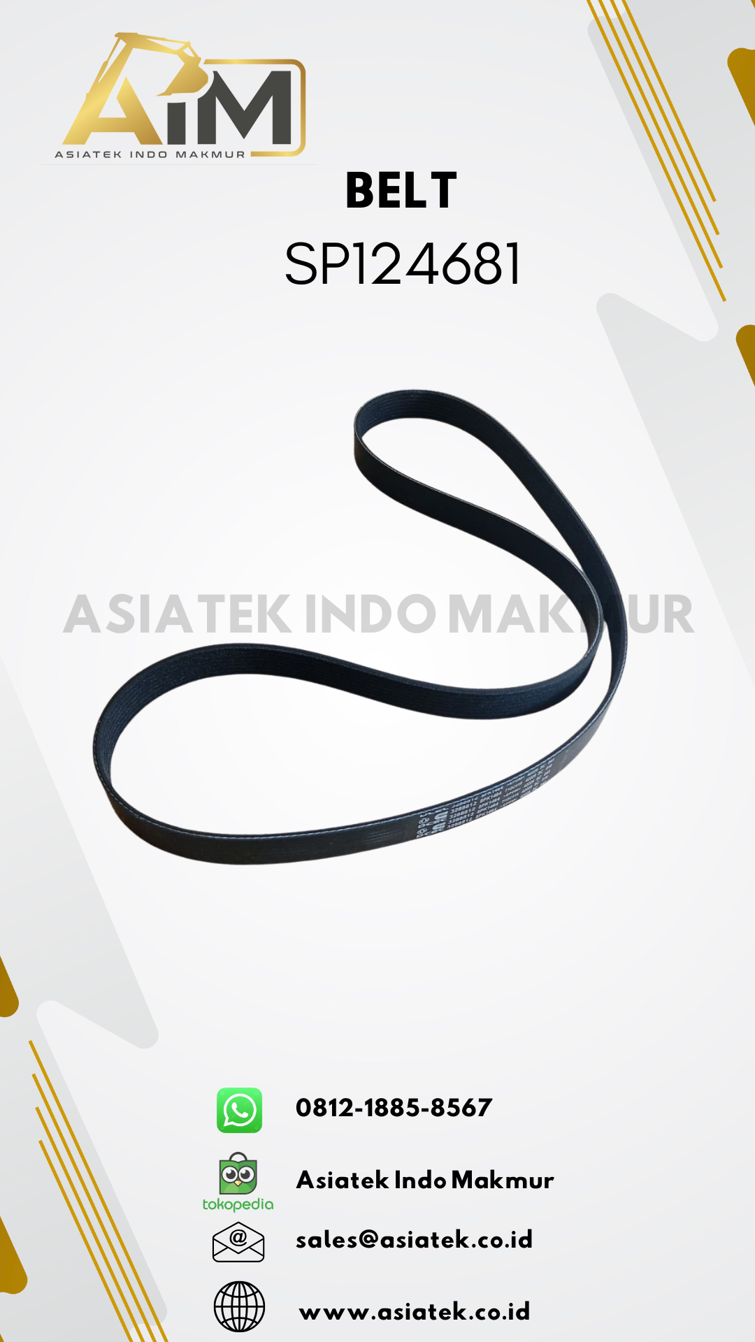 BELT (SP124681)